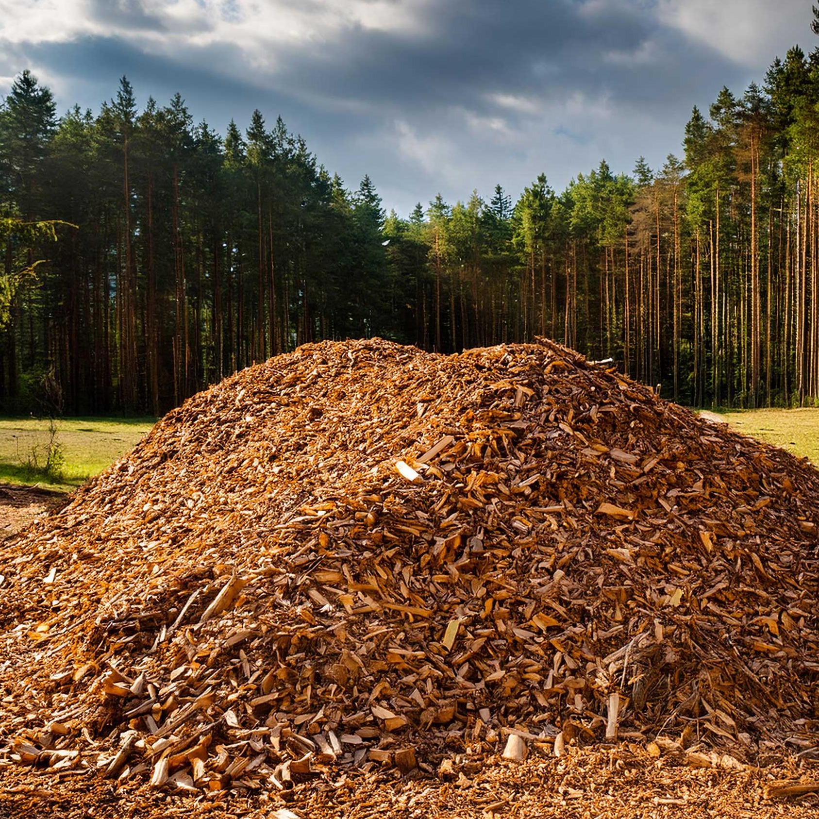 Holzspäne als Rohstoff